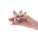 Rear Assets - Trainer Kit - Iridescent Champagne - Clear Gem