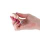 Rear Assets - Iridescent Champagne - Small - Clear
