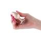 Rear Assets - Iridescent Champagne - Medium - Clear